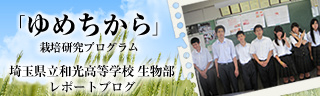 「ゆめちから」栽培研究プログラム　レポートブログ