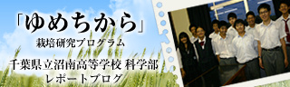 「ゆめちから」栽培研究プログラム　レポートブログ