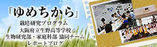 「ゆめちから」栽培研究プログラム　レポートブログ