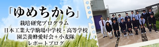 「ゆめちから」栽培研究プログラム　レポートブログ