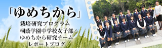 「ゆめちから」栽培研究プログラム　レポートブログ