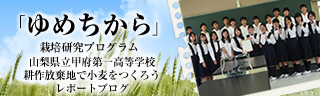 「ゆめちから」栽培研究プログラム　レポートブログ