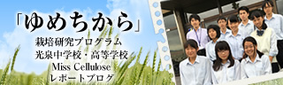「ゆめちから」栽培研究プログラム　レポートブログ