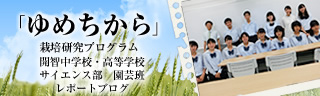 「ゆめちから」栽培研究プログラム　レポートブログ