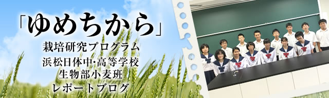 「ゆめちから」栽培研究プログラム　レポートブログ