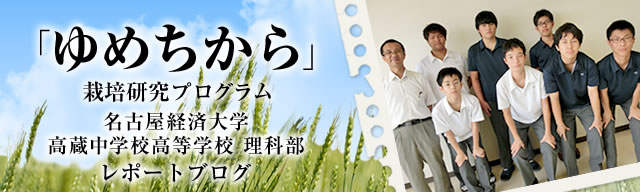「ゆめちから」栽培研究プログラム　レポートブログ