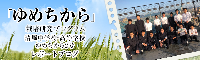 「ゆめちから」栽培研究プログラム　レポートブログ