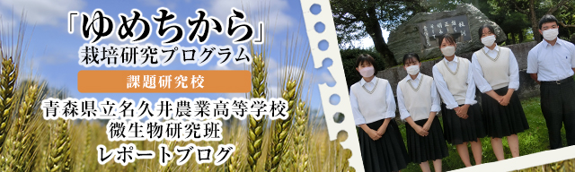 「ゆめちから」栽培研究プログラム　レポートブログ