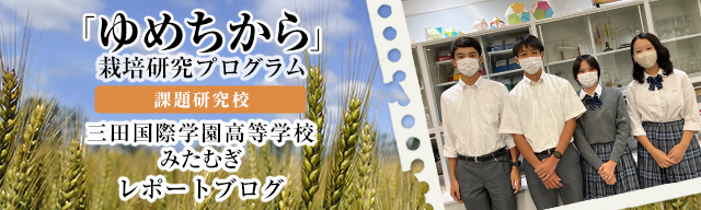 「ゆめちから」栽培研究プログラム　レポートブログ
