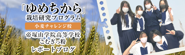 「ゆめちから」栽培研究プログラム　レポートブログ