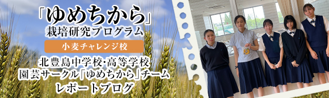 「ゆめちから」栽培研究プログラム　レポートブログ