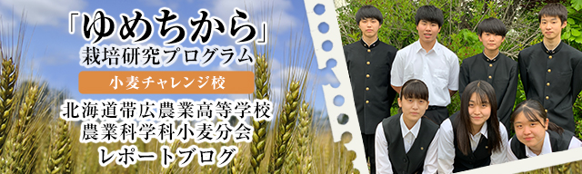 「ゆめちから」栽培研究プログラム　レポートブログ