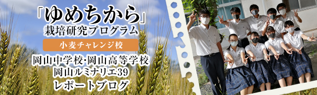 「ゆめちから」栽培研究プログラム　レポートブログ