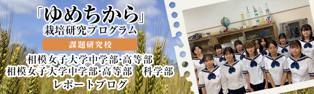 「ゆめちから」栽培研究プログラム　レポートブログ