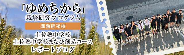 「ゆめちから」栽培研究プログラム　レポートブログ