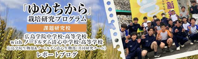 「ゆめちから」栽培研究プログラム　レポートブログ