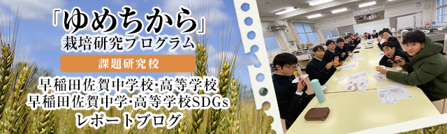 「ゆめちから」栽培研究プログラム　レポートブログ