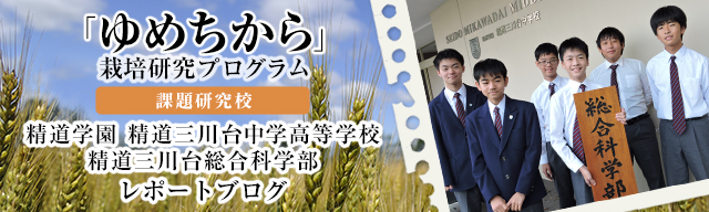 「ゆめちから」栽培研究プログラム　レポートブログ