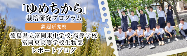 「ゆめちから」栽培研究プログラム　レポートブログ